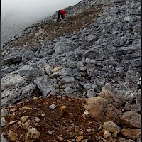 Photo Of Prospecting At Dynasty Zone