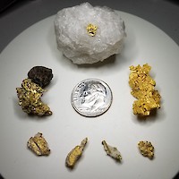 Auburn Gold Samples